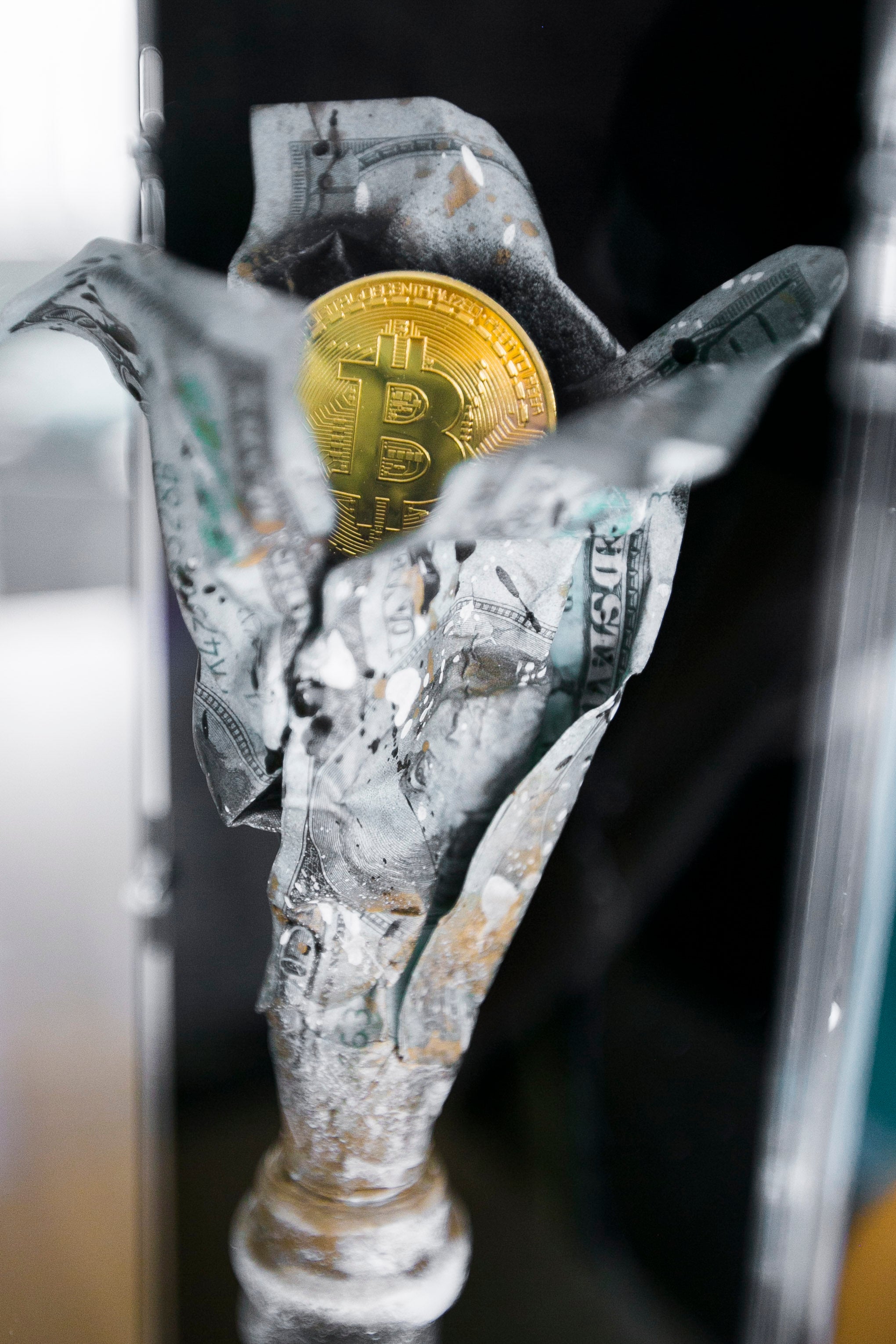 Bitcoin Bottle “Mass Adoption”
